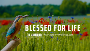 Read more about the article Blessed for Life: How to Live with Gratitude and Joy